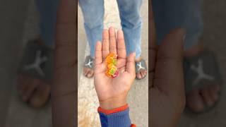 Jatin ke pass to kuch bhi nahi bacha  #shortsvideo #viralvideo #shortsfeed