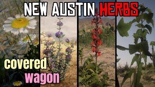 Covered Wagon Trip to New Austin to Get the 4 Herbs for Herbalist 9 : Red Dead Redemption 2