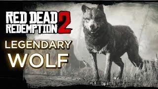 Red Dead Redemption 2 - Legendary Wolf