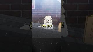 가족이었던 반려동물이 떠난 후 다시 찾아온 것은…