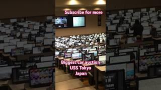 USS auction Tokyo Japan , biggest car auction