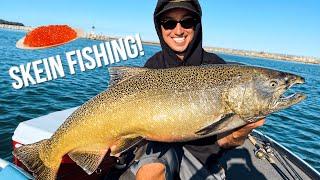 FLOAT Fishing SKEIN For GIANT King Salmon On Lake Michigan! (2021)