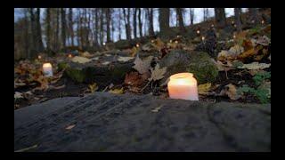 Jeffrey K. Cymbler cleans Jewish cemetery in Będzin [ENG]