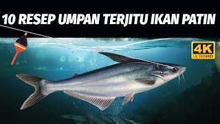 KEREN BOSKU! 10 RESEP UMPAN TERJITU MANCING IKAN PATIN! 4K