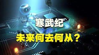 寒武纪：从巅峰到低谷，未来何去何从？