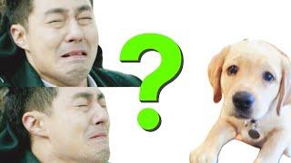 이걸 모르고 산책시키면 3,000만원 날아갑니다