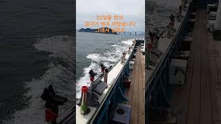 진해더블피싱 9.77톤 먼바다 루어전용선 한치 낚시 예약 010-6668-1782 #진해더블피싱 #한치이카메탈 #한치오모리 #갈치지깅 #갈치텐야 #갈치텐빈 #참돔타이라바 #무늬팁런