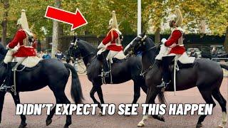 Household Cavalry Horse: “All I Want to Do Is Go Home”