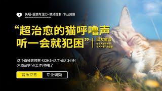 3小时超治愈猫呼噜声，真实的猫呼噜声，听着就犯困白噪音，治愈，放松，助眠，学习， 工作， 环境音，睡眠音乐