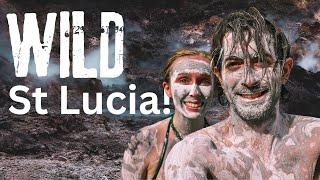 We drove into a VOLCANO, but what HIT our BOAT?! - St Lucia Special