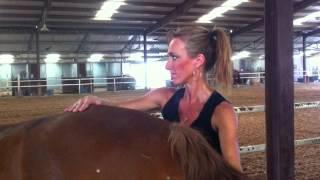 Sandi Buchanan Cranial Sacral Release Equine