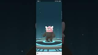 포곰곰 완벽 4성 진화! 이븐곰! #pokemongo #pokemon #포켓몬고 #포켓몬고 #포켓몬스터 #포곰곰