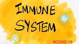 How to strengthen your immunity / The BrainGain / #immunity #immunesystem #covid-19