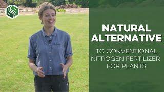 A Natural Alternative to Prevent Nitrogen Leaching