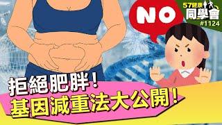 拒絕肥胖！基因減重法大公開！【57健康同學會】第1124集 2014年