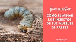 MUEBLES CON PALETS  Cómo Eliminar Insectos y Tratar la Madera | BRICOYDECO