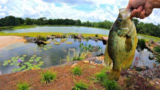 Adding Crappie to the 5 Acre Pond!