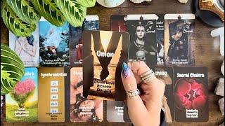 This person’s intuition and ego are having a showdown! ️️️Twin Flame Reading️️️