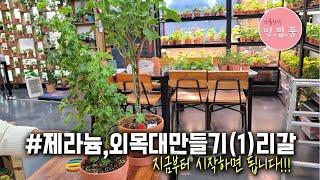 제라늄,외목대 만들기 #2025정리 #리갈제라늄외목대 #터키쉬커피외목대 #콴탁퍼펙션외목대