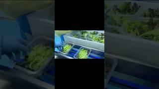 Salad individual packing to retain freshness!