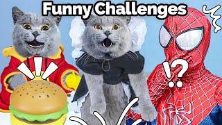 Don't Miss Oscar Try Exciting GAMING Challenges! | Oscar‘s Funny World | New Funny Cat Videos 2023