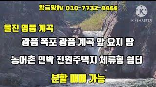 울진계곡땅매매 명품계곡 광품폭포와 광품계곡 앞 요지 땅