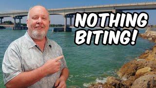 Sebastian Inlet Fishing Report for Oct. 3, 2024