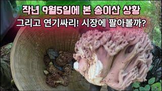 시장에 팔러갔다!