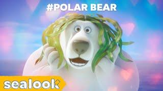 All of Polar BearㅣScary but SealyㅣSEALOOK Compilation