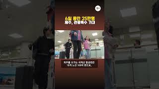 6일 동안 25만명...제주, 관광 특수 기대