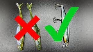 (Bank Fishing) Top 4 MUST HAVE baits for November