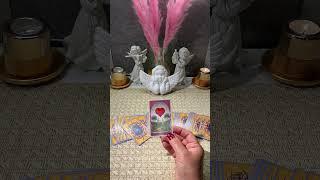 تک نیت روزانه انرژی خوانی با دک لنورماند #فال_تاروت #farsitarot #tarot #fall