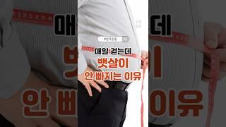 매일 걷는데 뱃살이 안 빠지는 이유 #중년건강 #뱃살관리 #걷기운동 #기초대사량