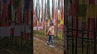 Dakha Ek Khwab To #namchi #northsikkim #namchisikkim #shortvideo #lovelyplace