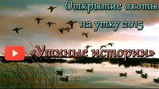 Открытие осенней охоты. Утиные истории.