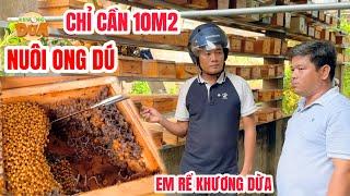 Độc lạ mô hình nuôi ONG DÚ kiếm hàng chục triệu mỗi tháng của em rể Khương Dừa