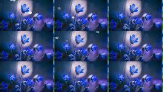 .｡.:  Planet of flowers   -   Blue Magic!  .｡.:
