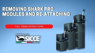 How to Attach SICCE Shark PRO modules