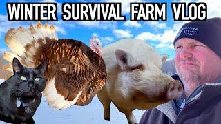 Prioritizing Our Farm Animals Winter Survival