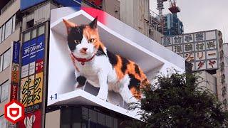 3D LED Billboard ini sangat Nyata, Seperti Sungguhan