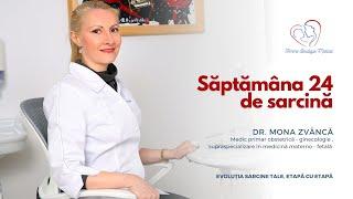 Săptămâna 24 de sarcină I Dr. Mona Zvâncă I Femmeboutiquemedical.com