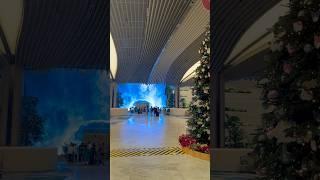 Christmas Vibes at Singapore Changi Airport