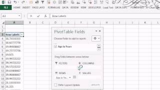 CFO Learning Pro - Excel Edition Issue 72 "Group Employees by Age Bands"