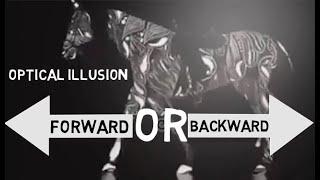 Whether you see a horse walking forward or backward