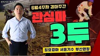 [서울경마 Best3] 인기 기수에 목매지 마십시오!! 혼전속 펼쳐질 6월 마지막주 경마주간!!박수홍경마#관심마3두#서울경마
