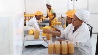 Ethiopia's apiculture and huge honey production potential need to look for modern techniques