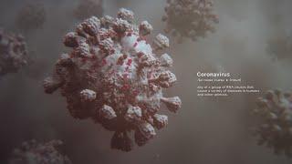 The Coronavirus Outbreak | Random42 Scientific Communication