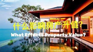 什么影响房产升值？What Effects Property Value Going Up?