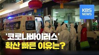 신종 코로나바이러스 첫 임상보고서 나왔다…“빠르고 치명적” 이유는? / KBS뉴스(News)