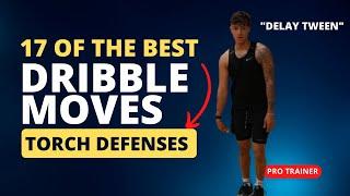 17 BEST BASKETBALL DRIBBLING MOVES EXPLAINED (Get by your defender)